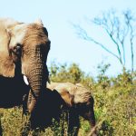 How to prepare for a quick travel
